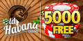 old-havana120x120-250%






















                                                  WELCOME BONUS